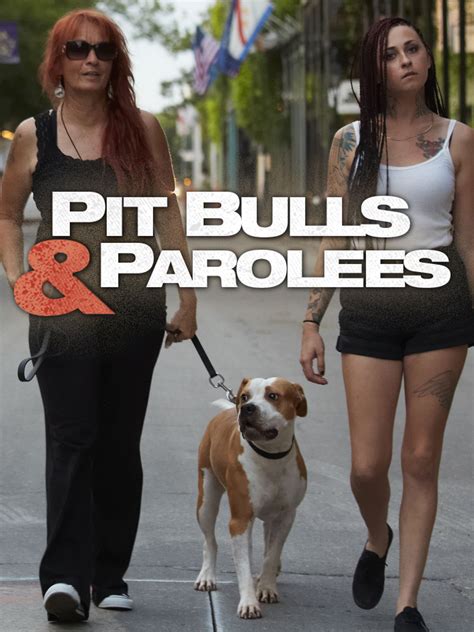 prada pitbulls and parolees.